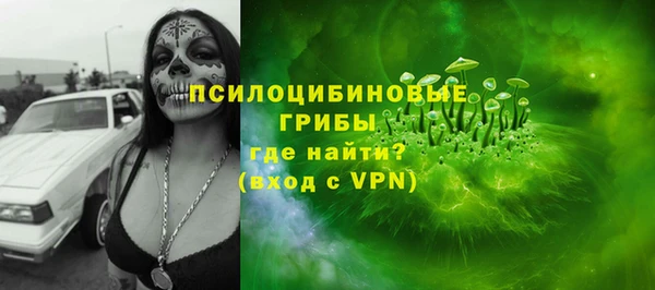 молекула духа Белоозёрский