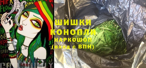 молекула духа Белоозёрский