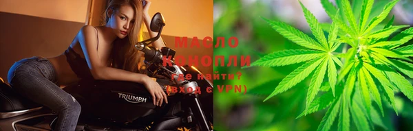 PSILOCYBIN Белокуриха