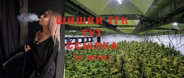 PSILOCYBIN Белокуриха