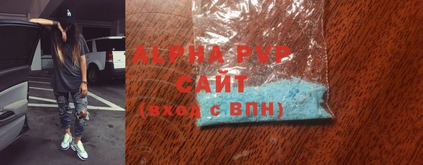 PSILOCYBIN Белокуриха