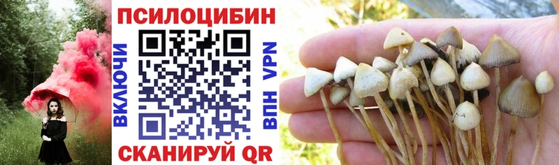 Галлюциногенные грибы Psilocybine cubensis  МЕГА как зайти  Раменское  что такое наркотик 